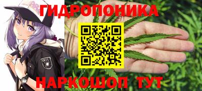 наркотики Боровичи