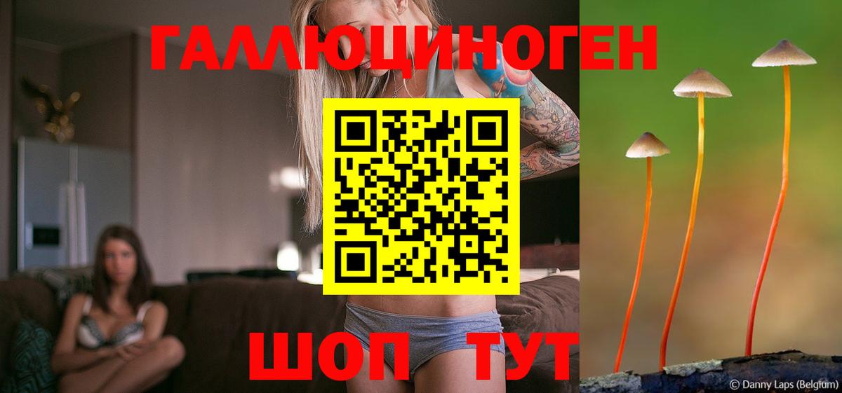 Псилоцибиновые грибы ЛСД Сокол