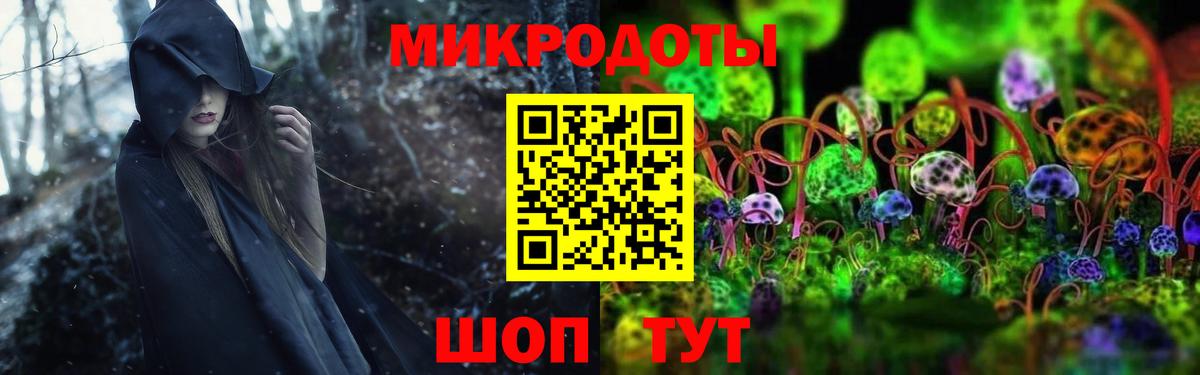 Сокол  Галлюциногенные грибы Cubensis  Псилоцибиновые грибы мицелий  Вход с VPN 